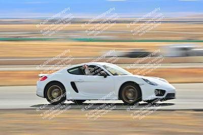 media/Dec-28-2024-Extreme Speed (Sat) [[dd5bc3b342]]/Purple Group/Session 3 (Turns 11 and 12)/